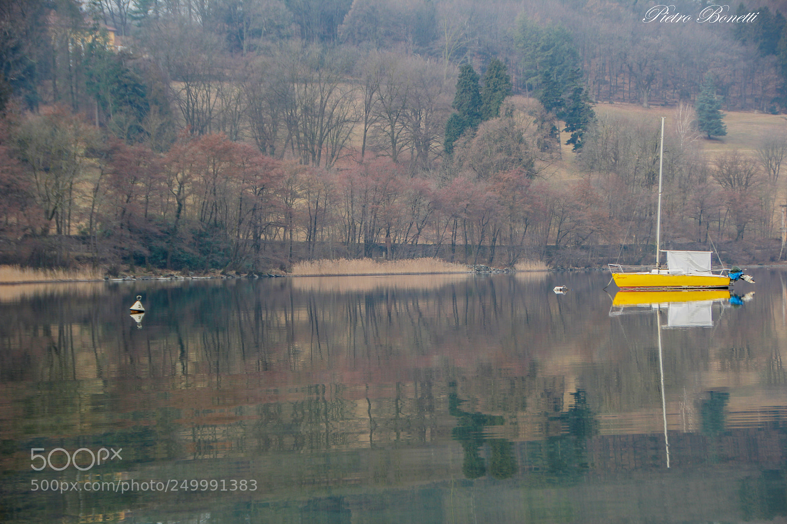 Canon EOS 60D sample photo. Un po' di colore photography