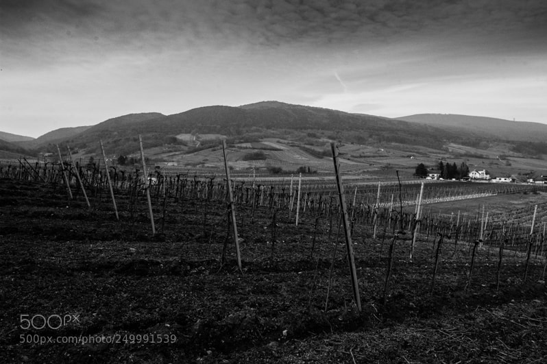 Nikon D70 sample photo. Landscape black  photography
