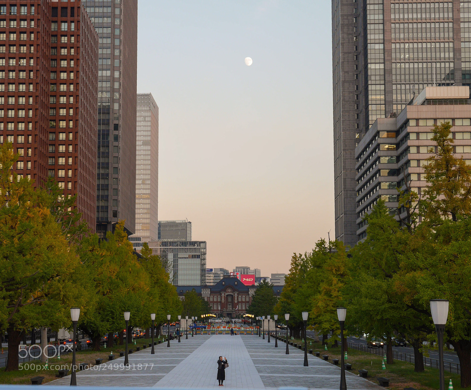 Panasonic Lumix DMC-GX7 sample photo. Tokyo walker photography