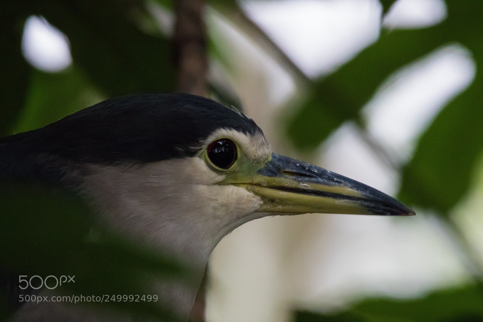 Canon EOS 7D Mark II sample photo. Untitled photography