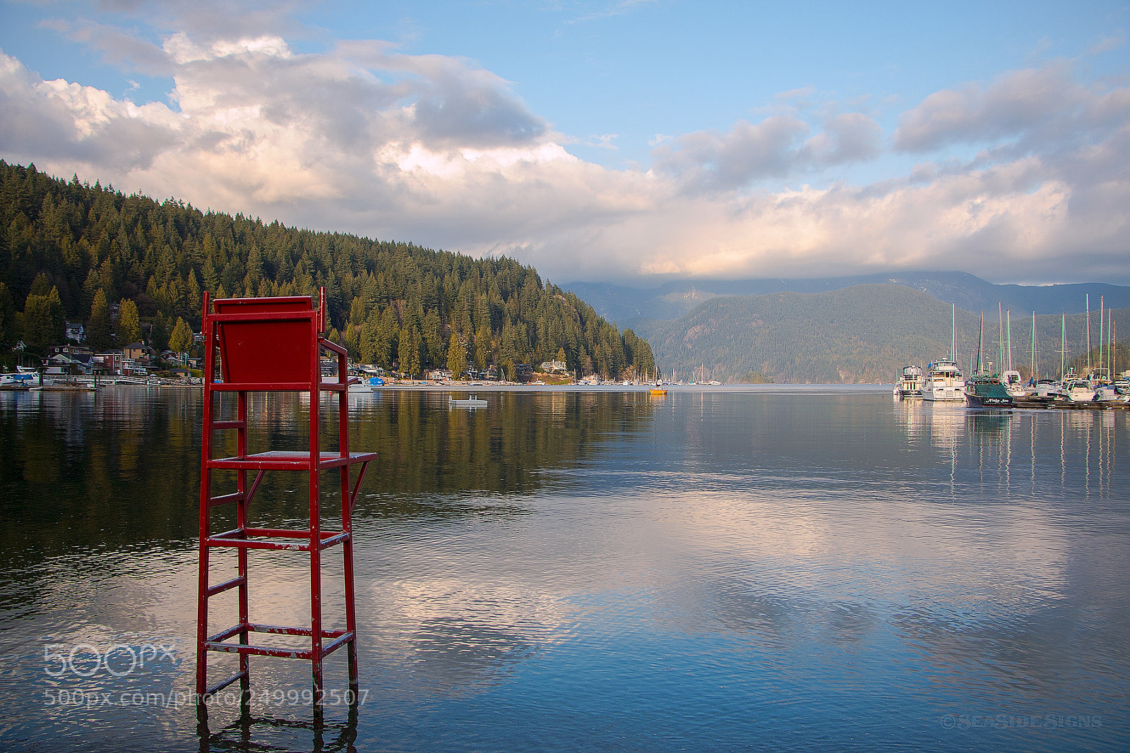 Canon EOS 70D sample photo. Deep thoughts north vancouver photography