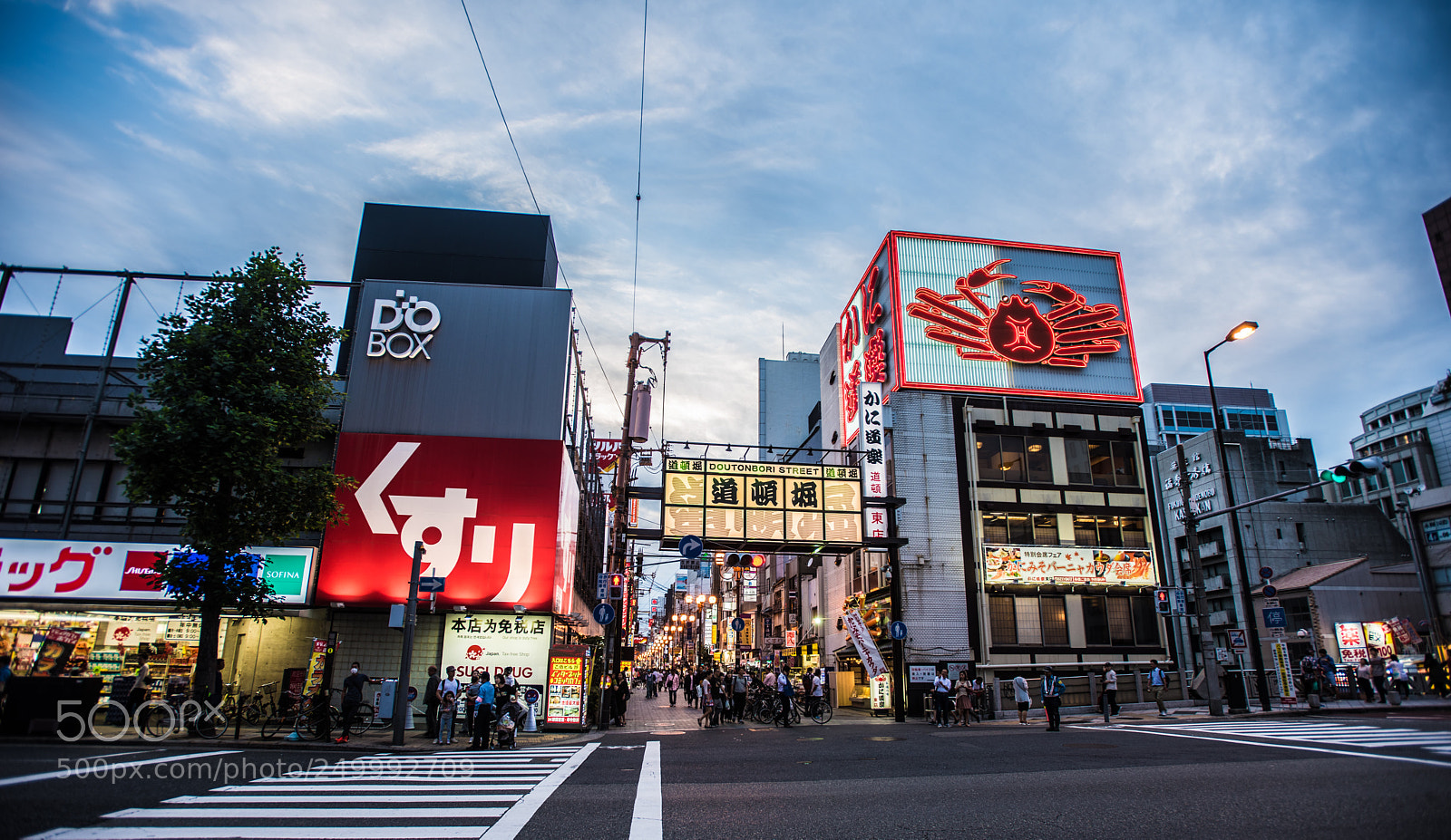 Nikon D810 sample photo. Doutonbori street photography