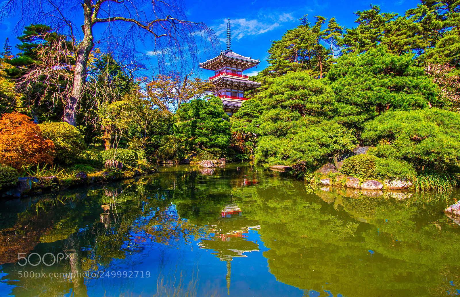Canon EOS 77D (EOS 9000D / EOS 770D) sample photo. Rinnoji buddhist temple photography
