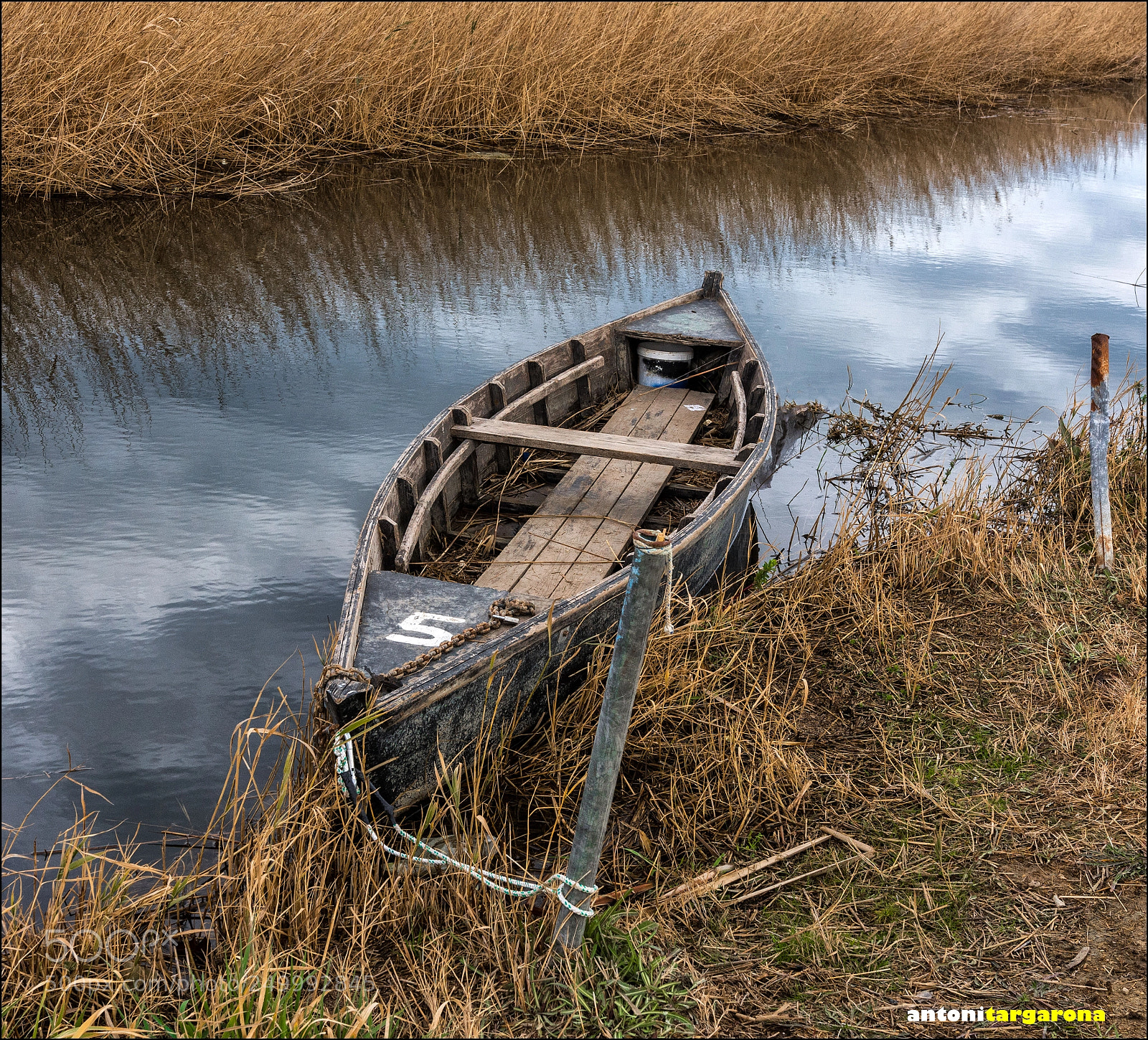 Nikon D7200 sample photo. Delta del l'ebre photography
