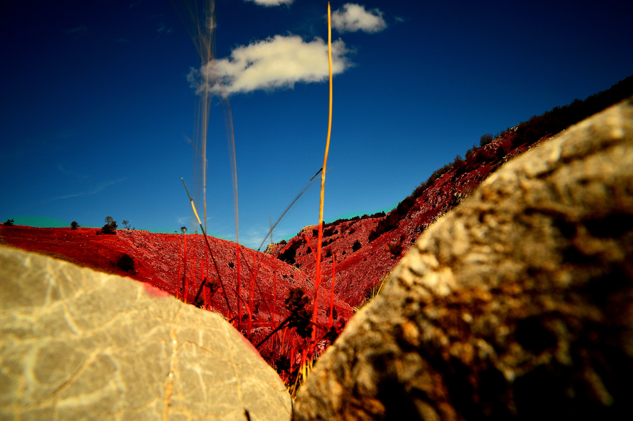 Nikon D3200 sample photo. Autumn nature photography