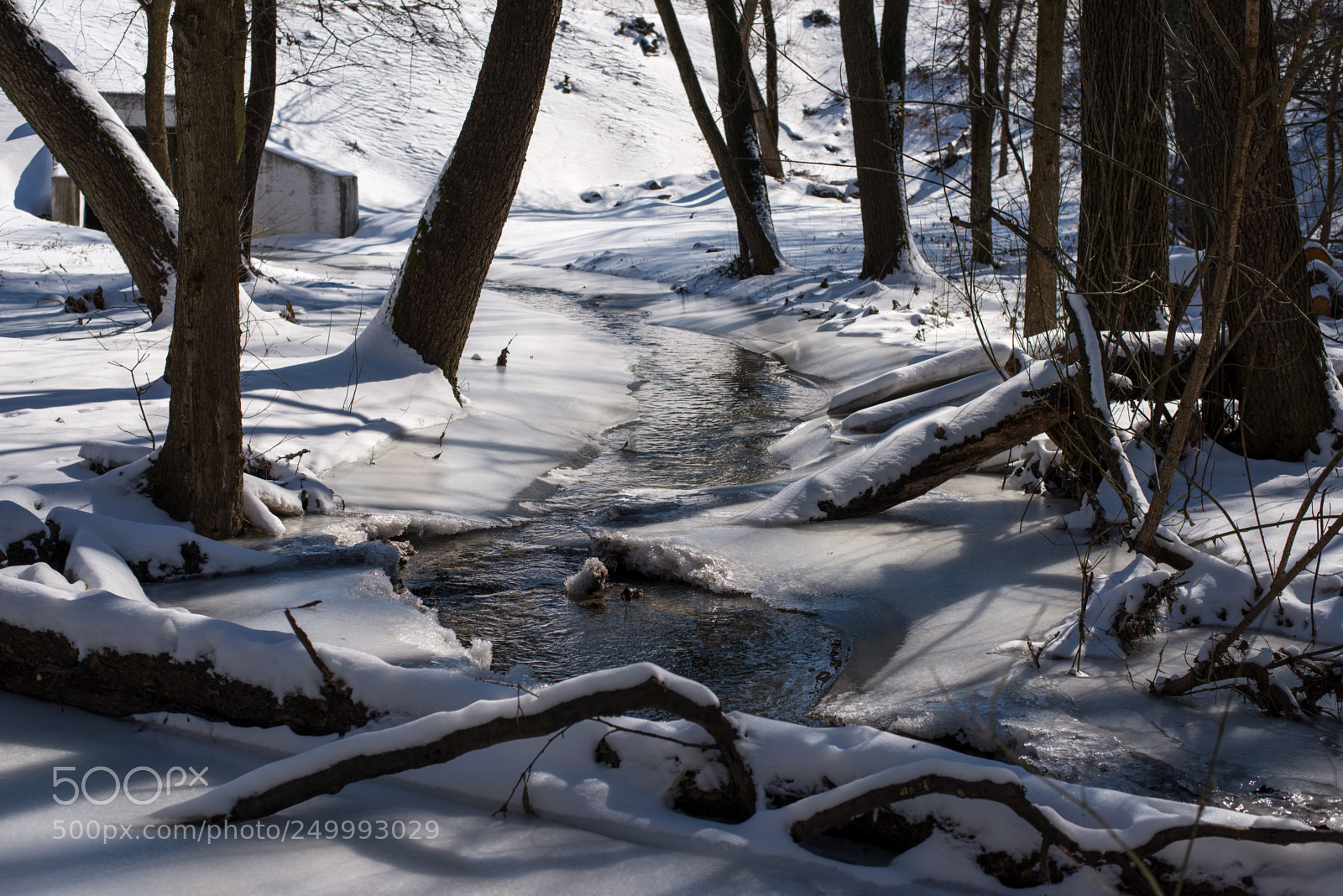 Nikon D610 sample photo. * * * photography