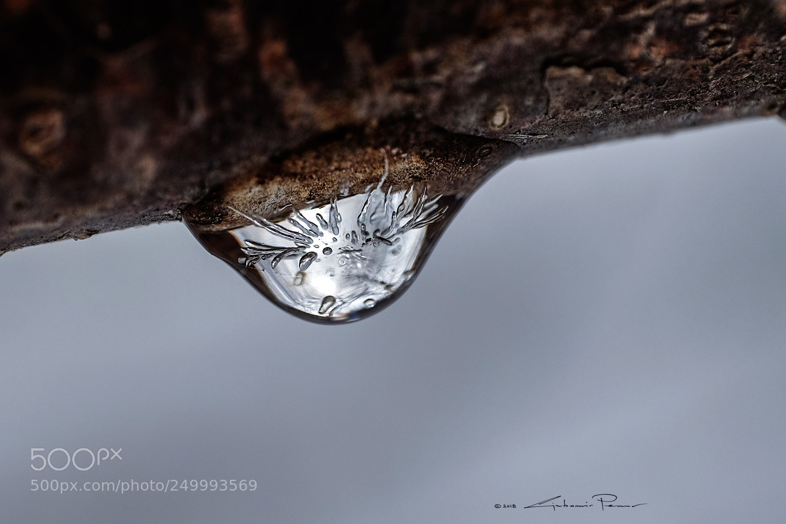 Fujifilm X-T1 sample photo. Frozen drop photography