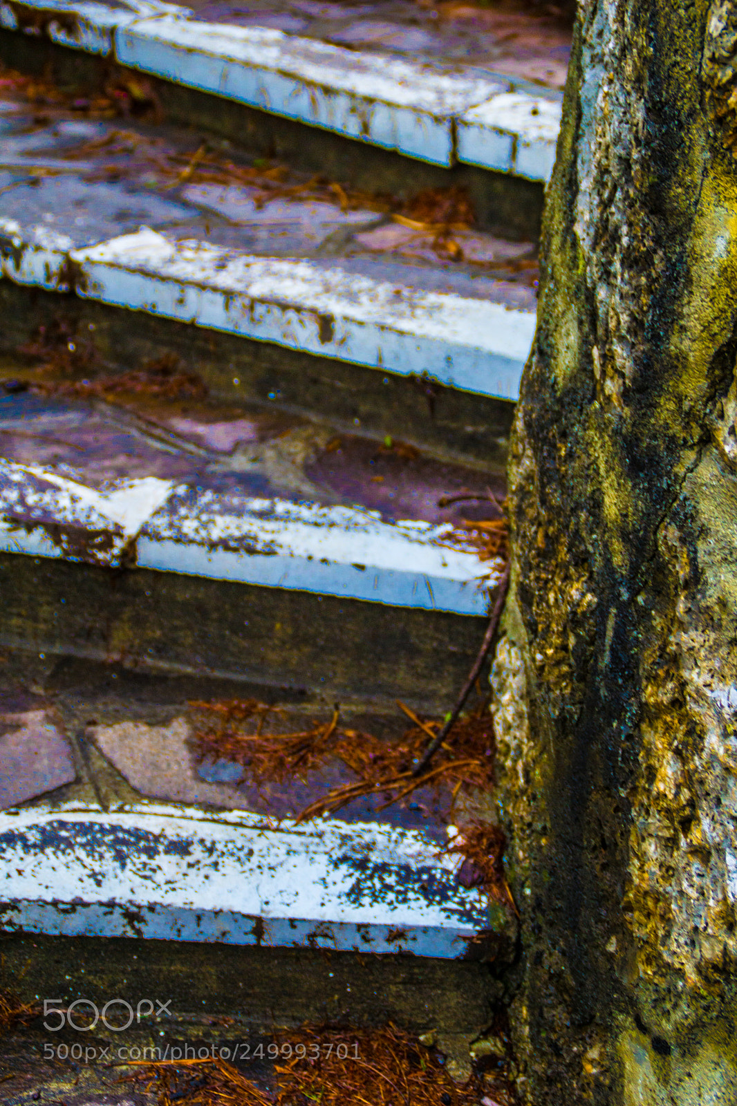 Sony a5100 sample photo. Walking in castione della photography