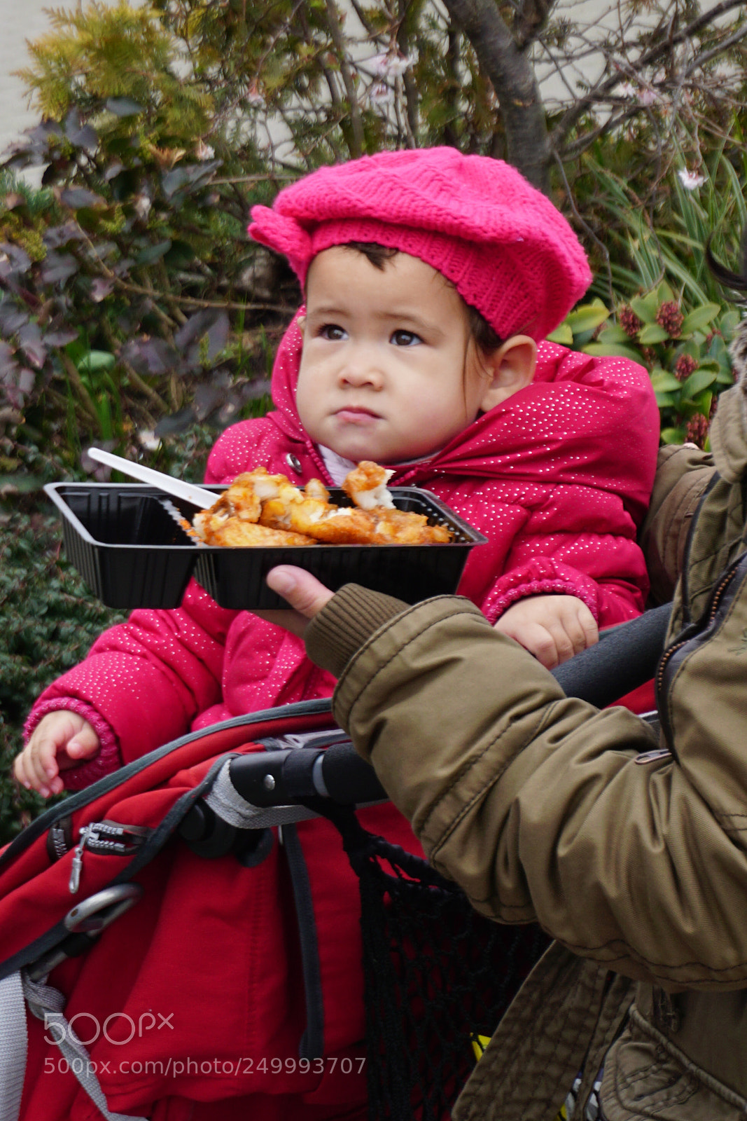 Sony a6000 sample photo. Little dumpling photography