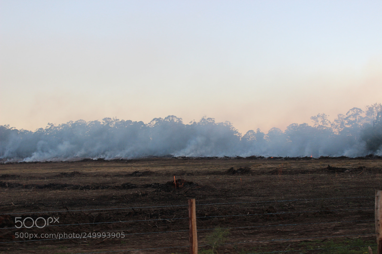 Canon EOS 600D (Rebel EOS T3i / EOS Kiss X5) sample photo. The bush burn off photography