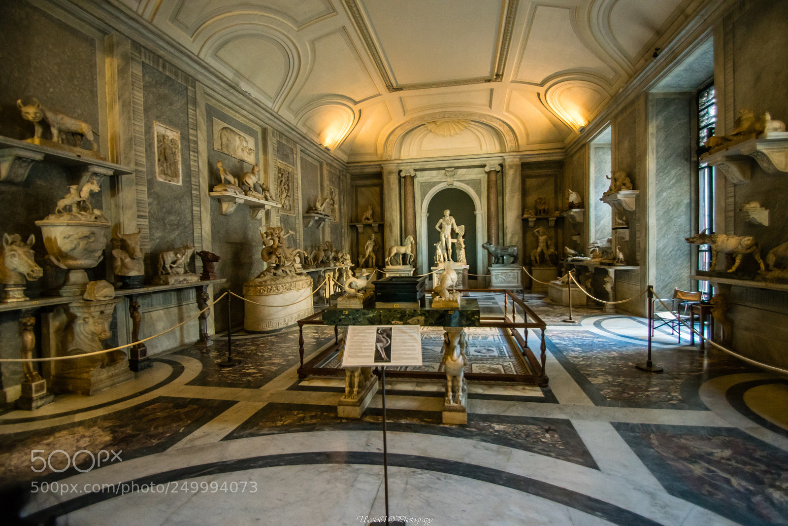 Sony SLT-A68 sample photo. La sala degli animali photography