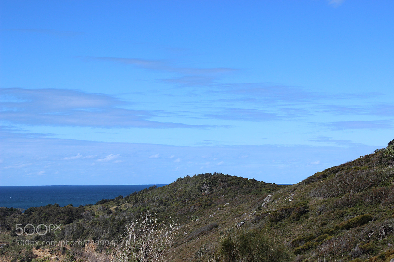 Canon EOS 600D (Rebel EOS T3i / EOS Kiss X5) sample photo. ... photography