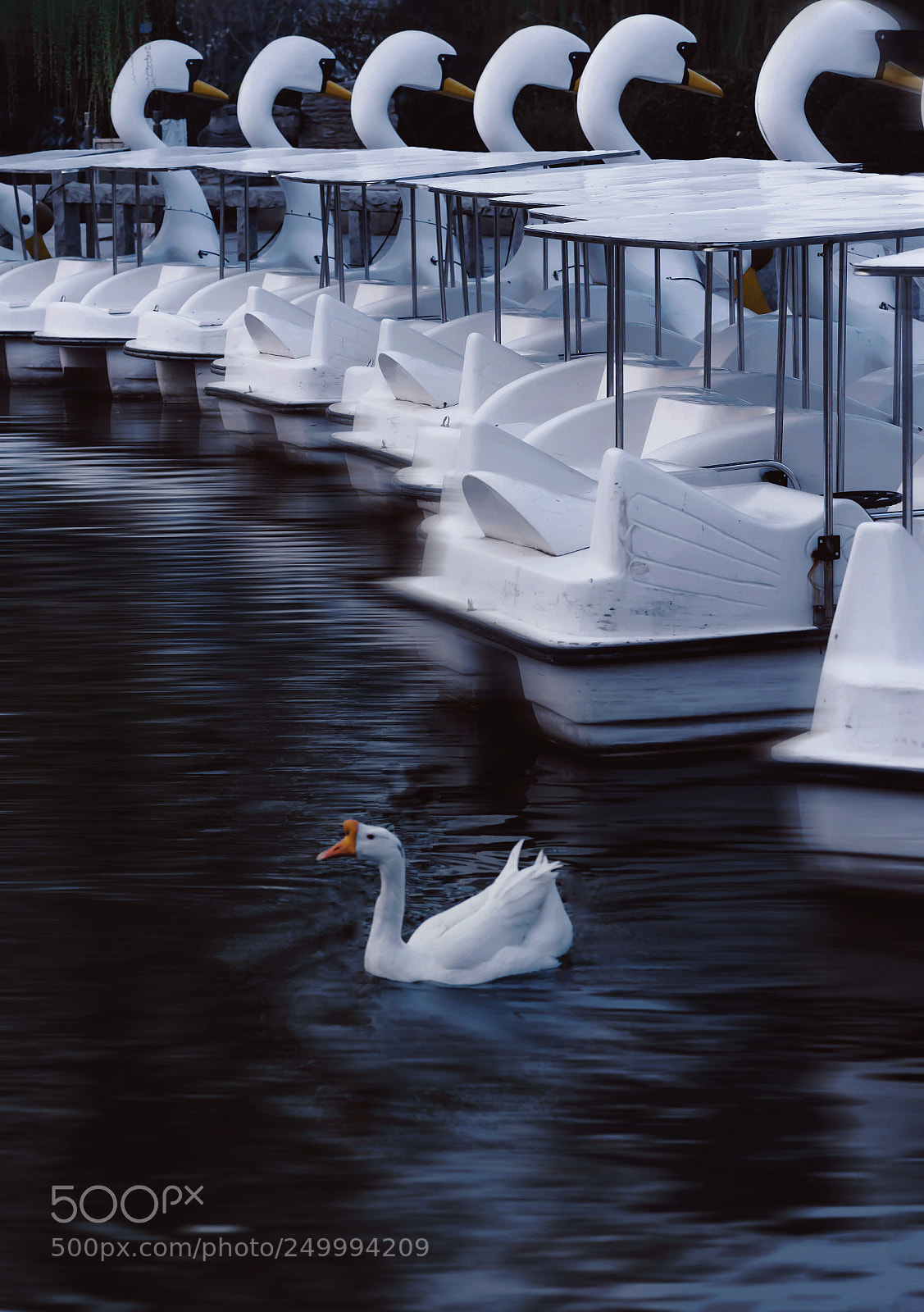 Nikon D610 sample photo. Untitled photography