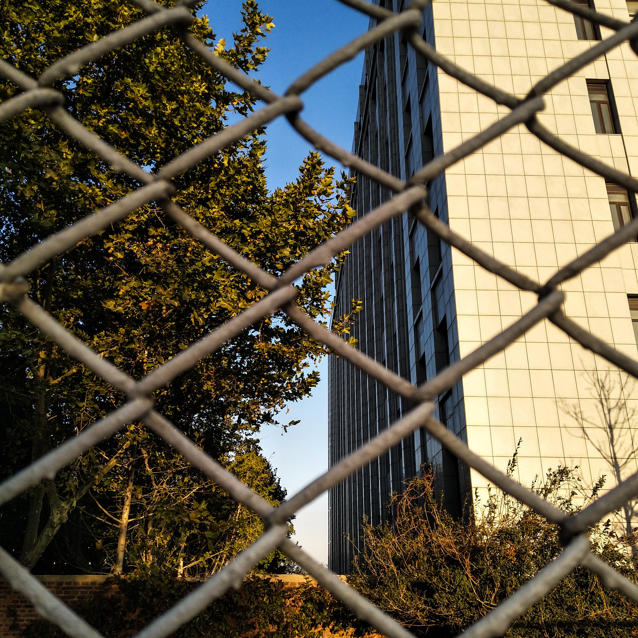 vivo X9 sample photo. 铁丝网 photography