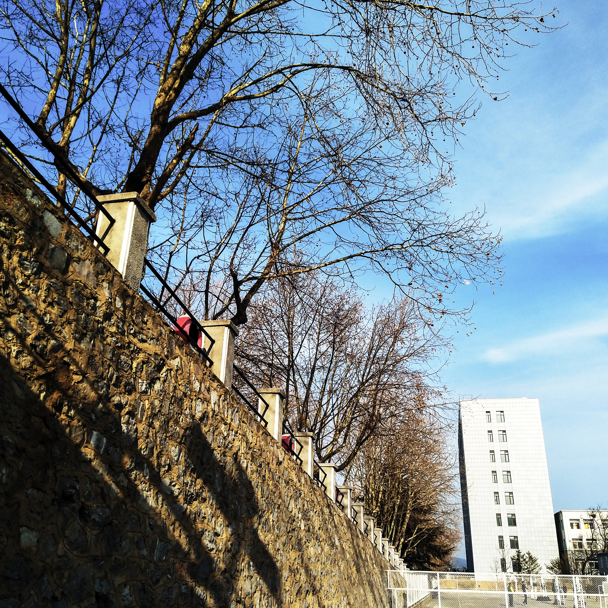 vivo X9 sample photo. 墙壁 photography
