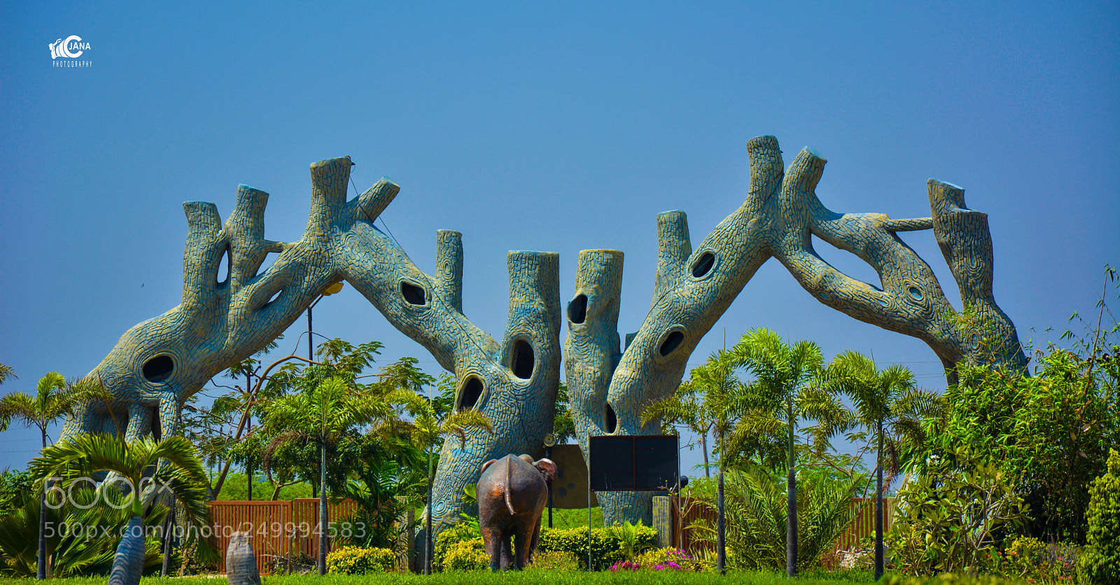 Nikon D5200 sample photo. Untitled photography