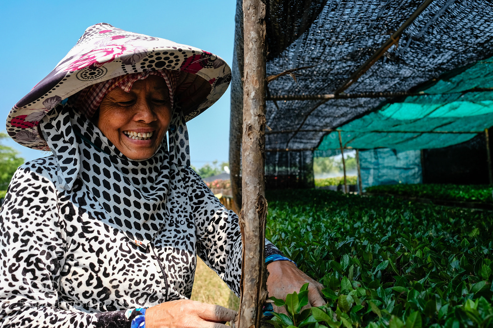 Fujifilm X-Pro2 sample photo. Horticulture dans le delta photography