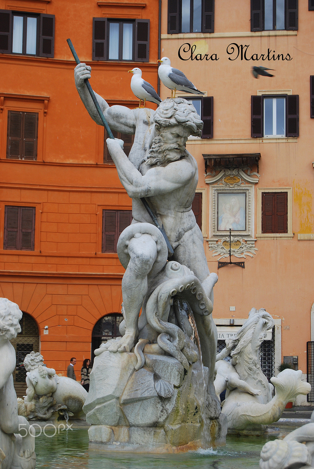 Nikon D60 sample photo. Fuente! photography