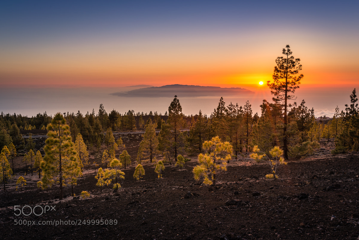 Nikon D800 sample photo. Sunset - pico del photography