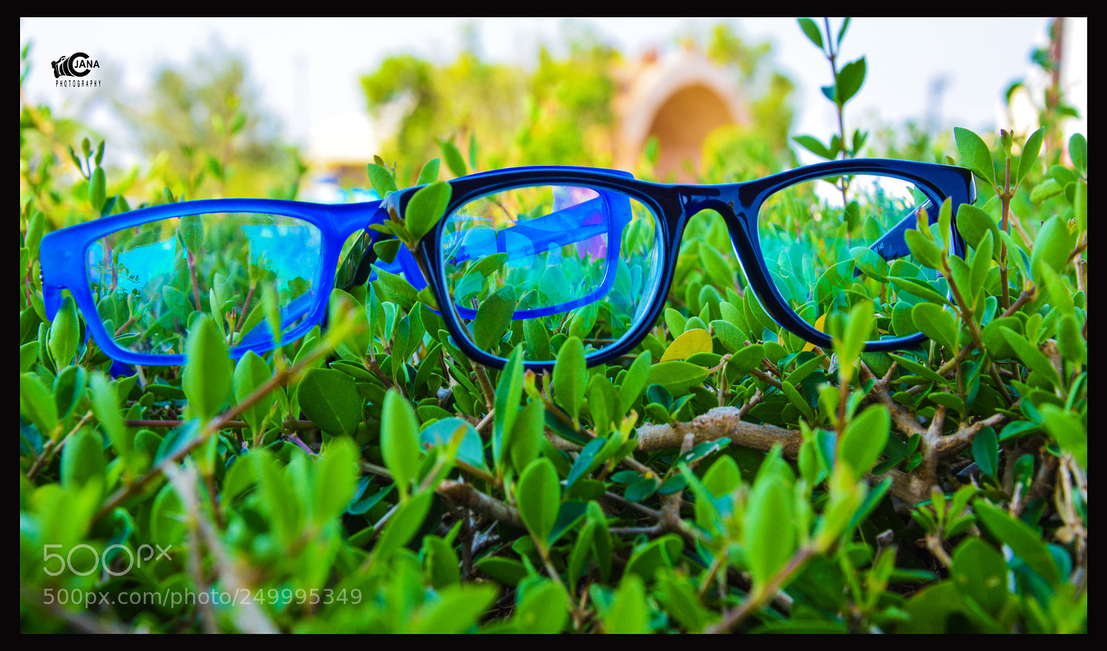 Nikon D5200 sample photo. Untitled photography