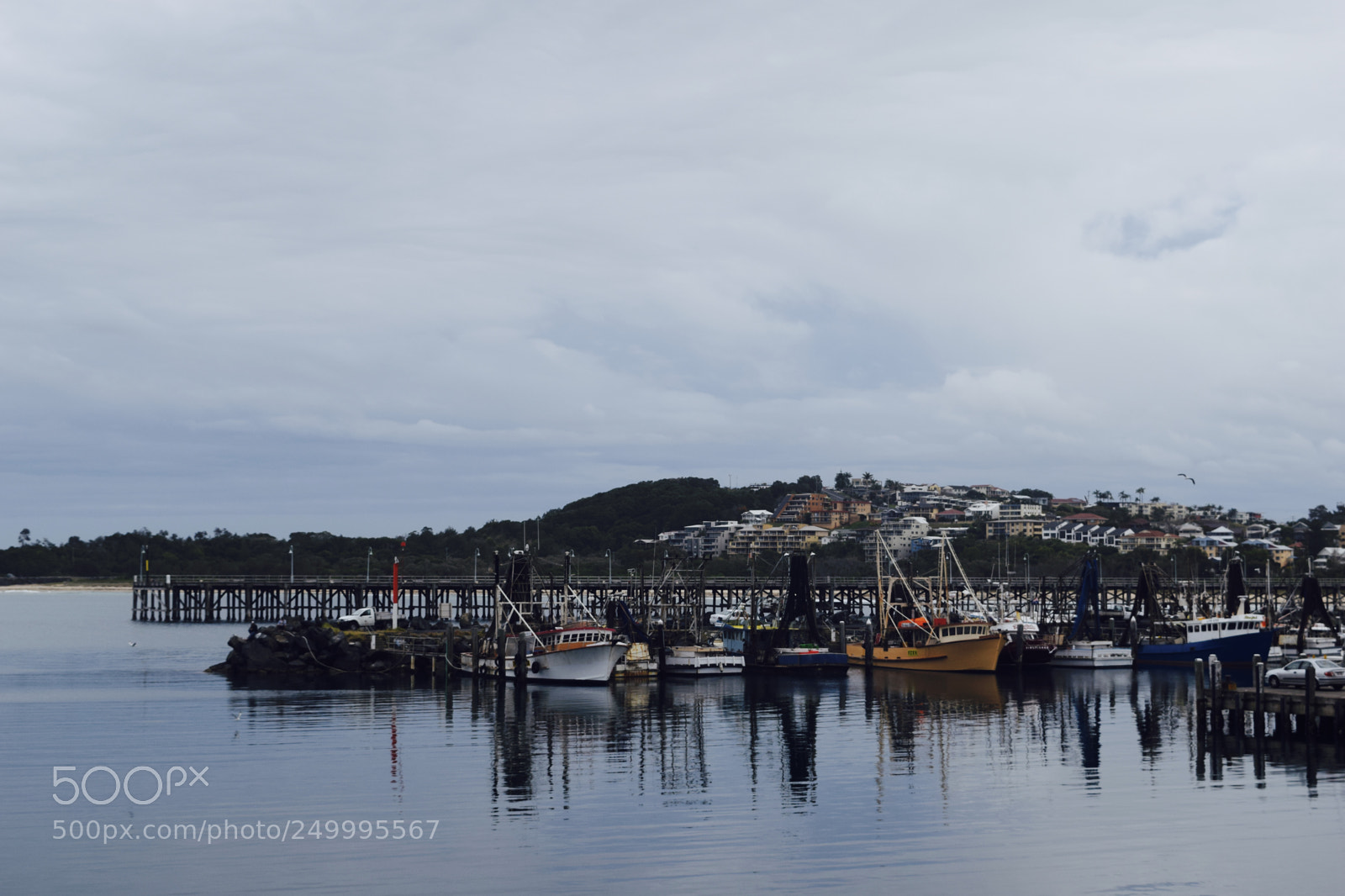 Nikon D5300 sample photo. Port macquarie photography