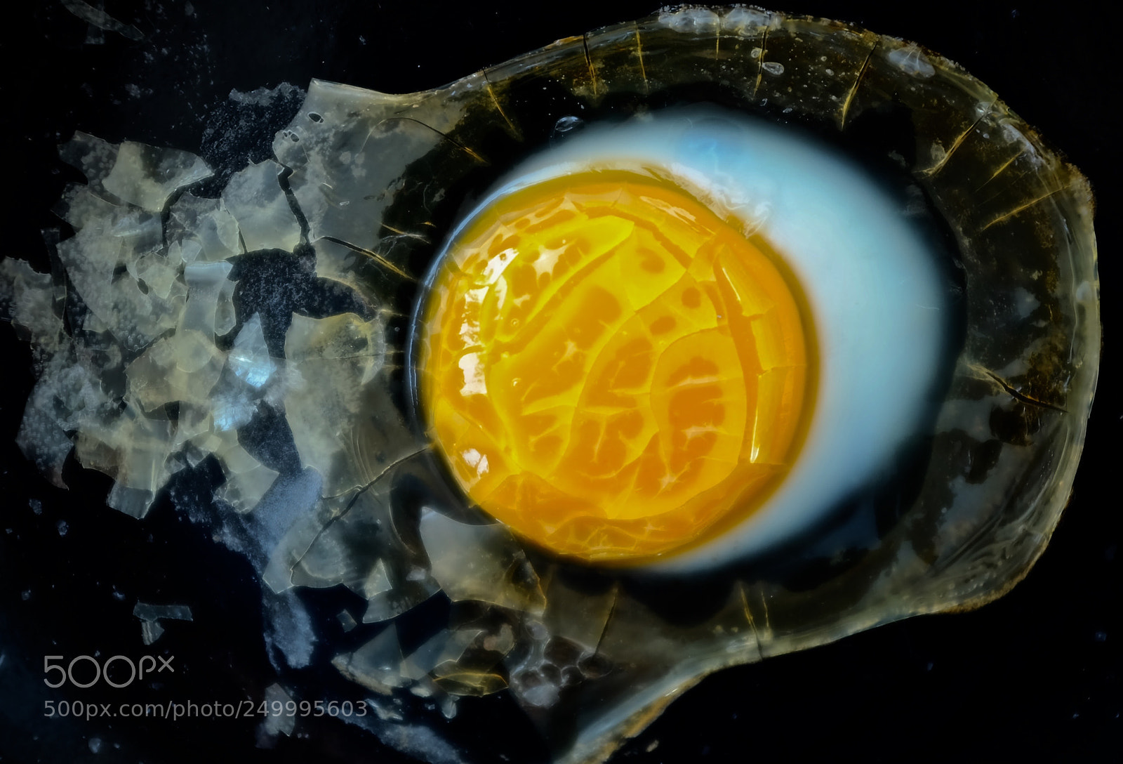 Fujifilm X100S sample photo. Le jaune photography