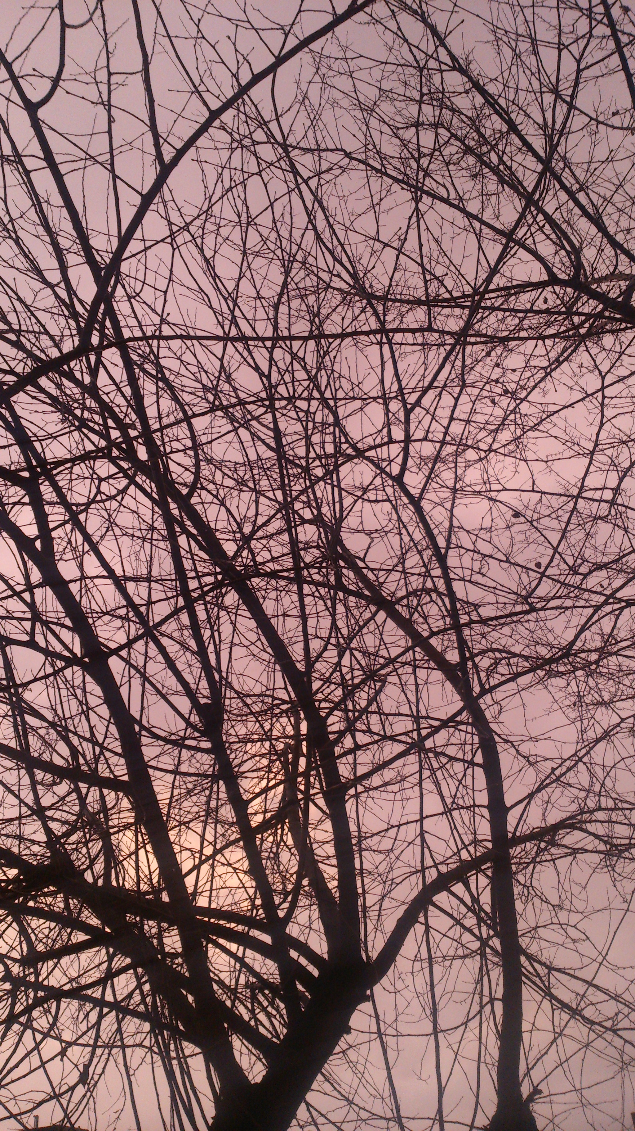 Sony Xperia V sample photo. Dsc photography