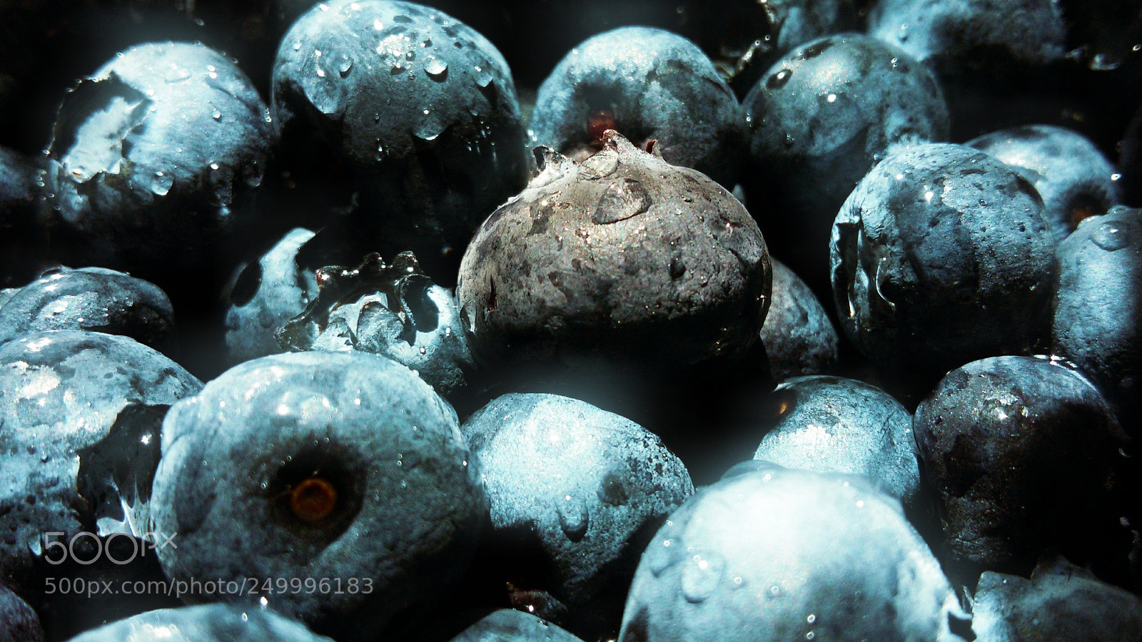 Samsung Galaxy S5 Mini sample photo. Blueberries photography