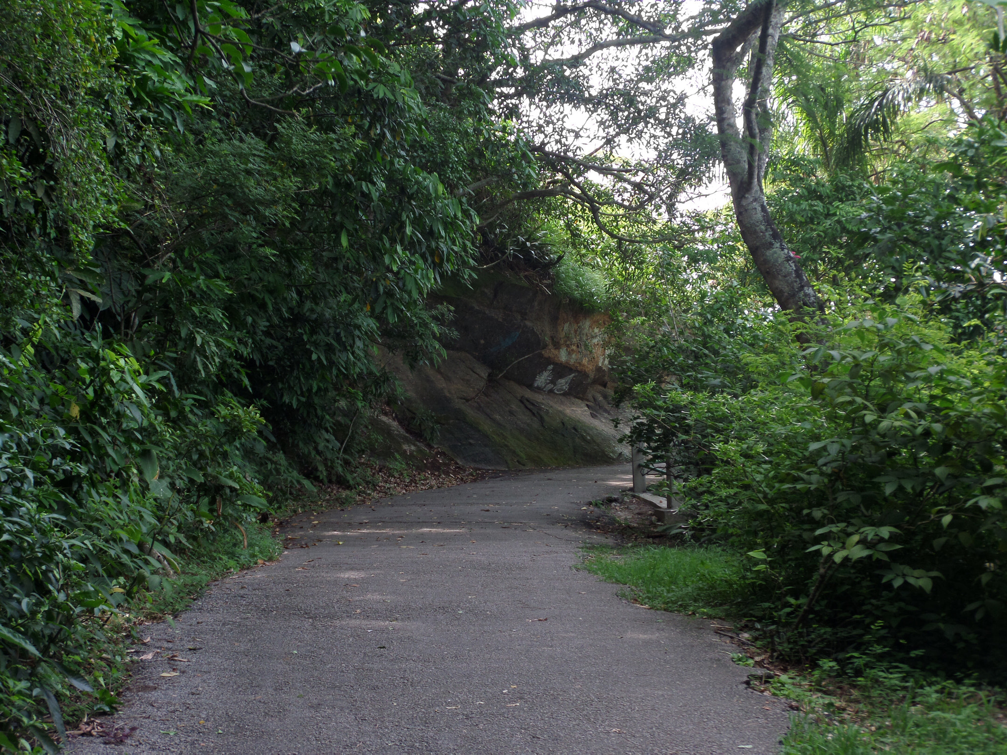 Samsung WB250F/WB251F/WB252F sample photo. Road to somewhere. photography