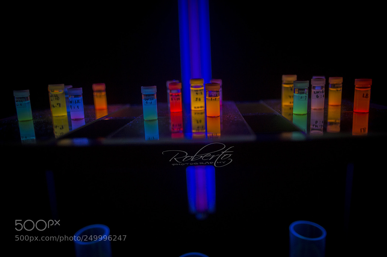 Nikon D4 sample photo. Jellyfish serum photography