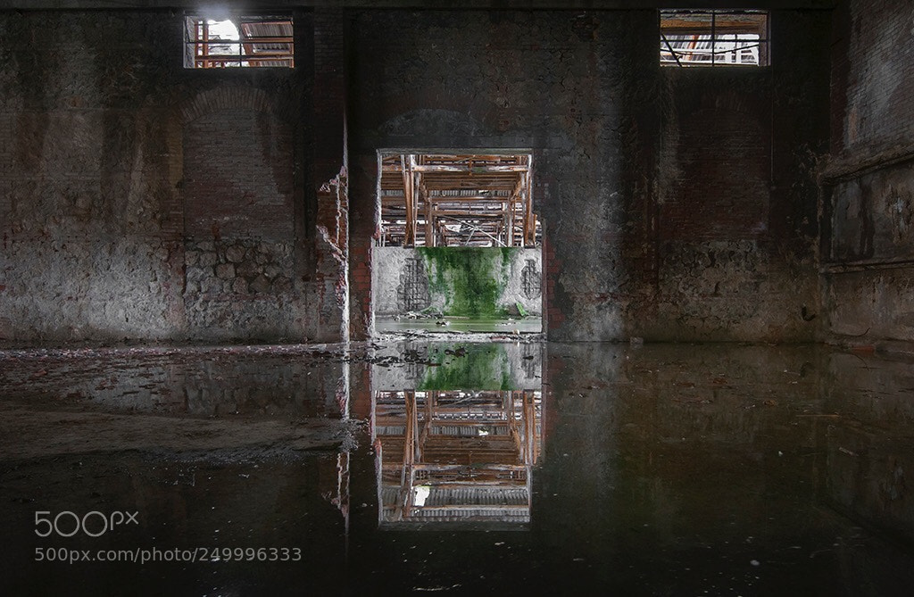 Nikon D300S sample photo. Rivoluzione industriale  photography