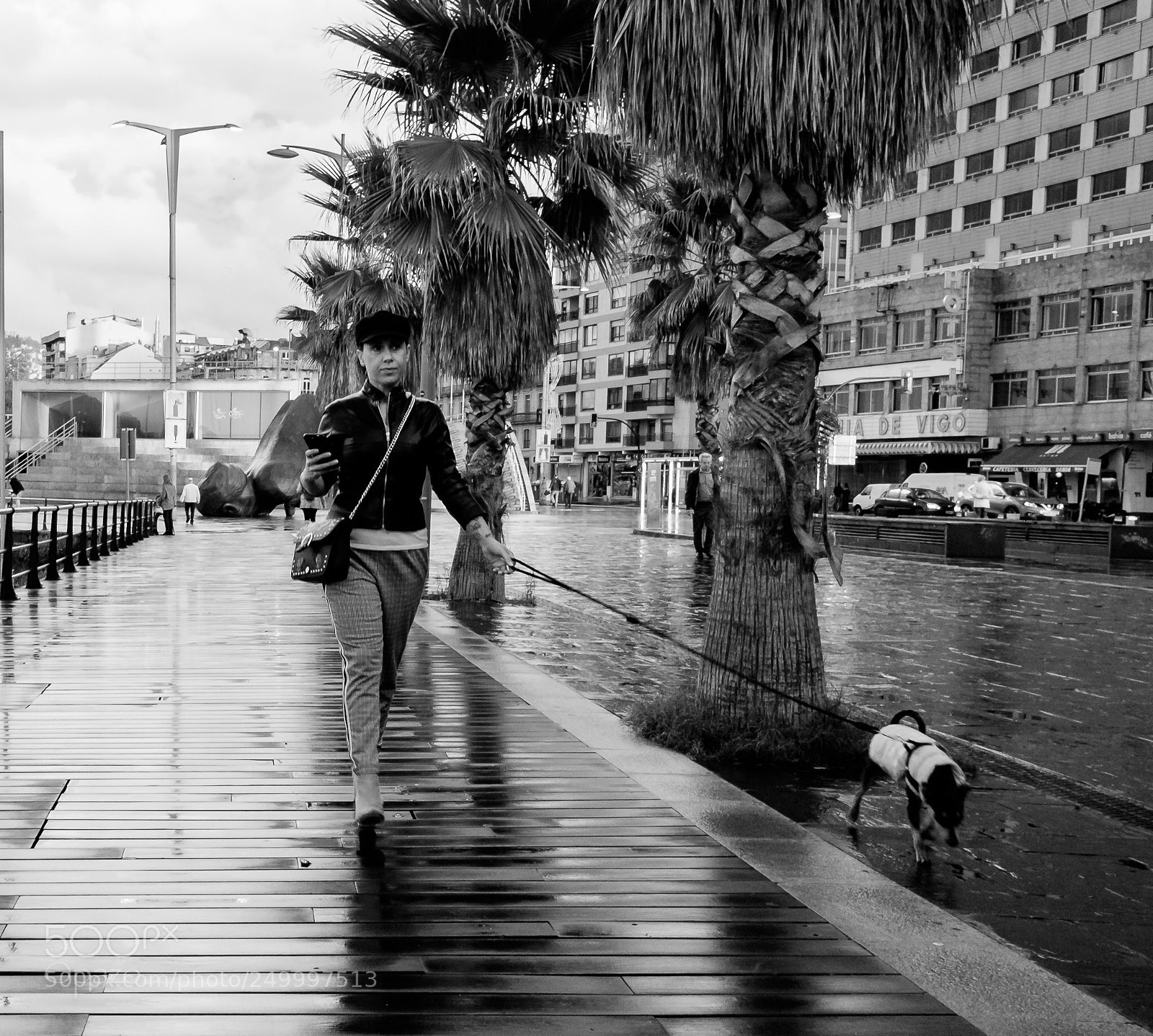 Fujifilm X70 sample photo. Paseando el perro. photography
