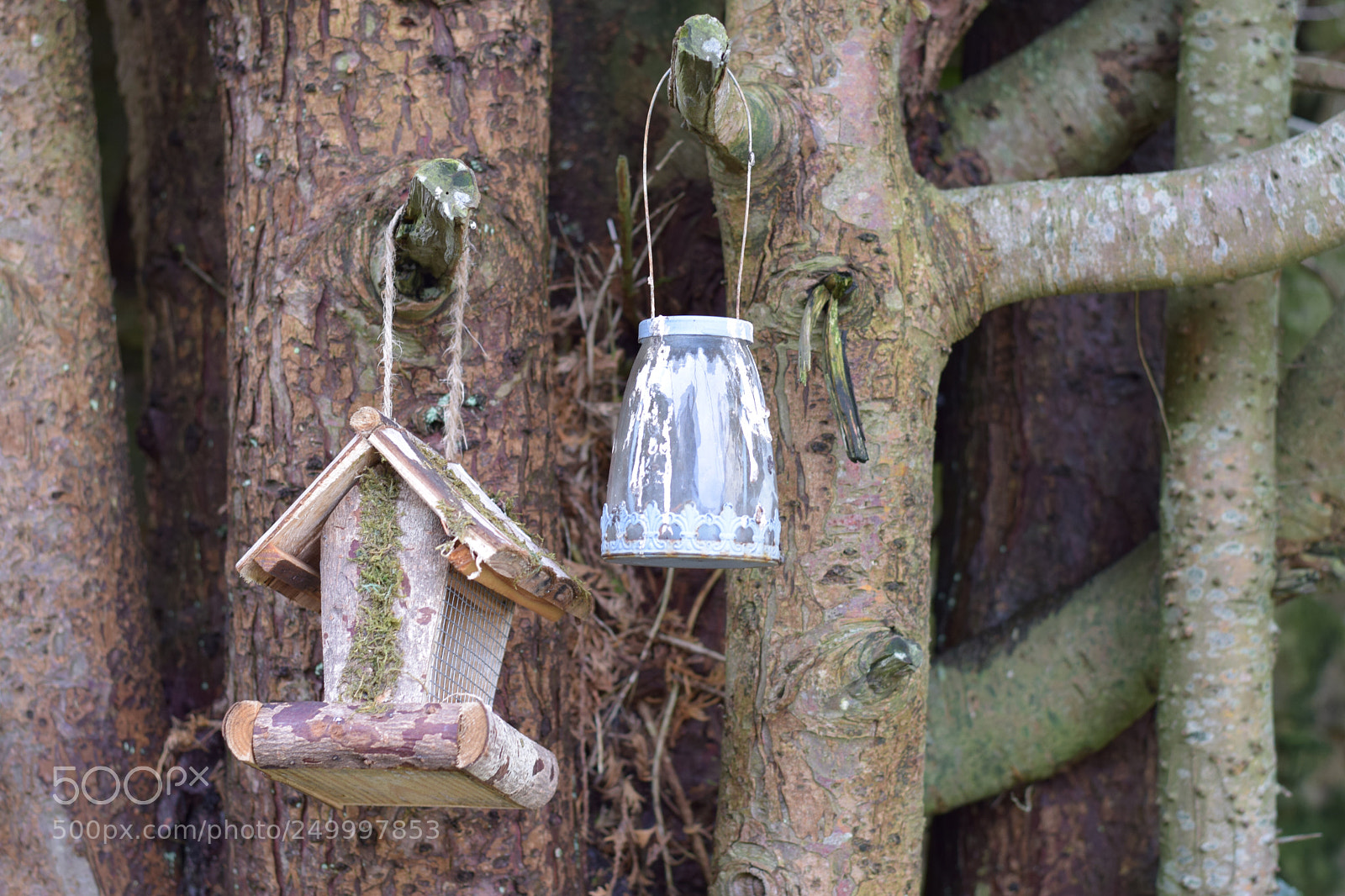 Nikon D5300 sample photo. Just hanging photography