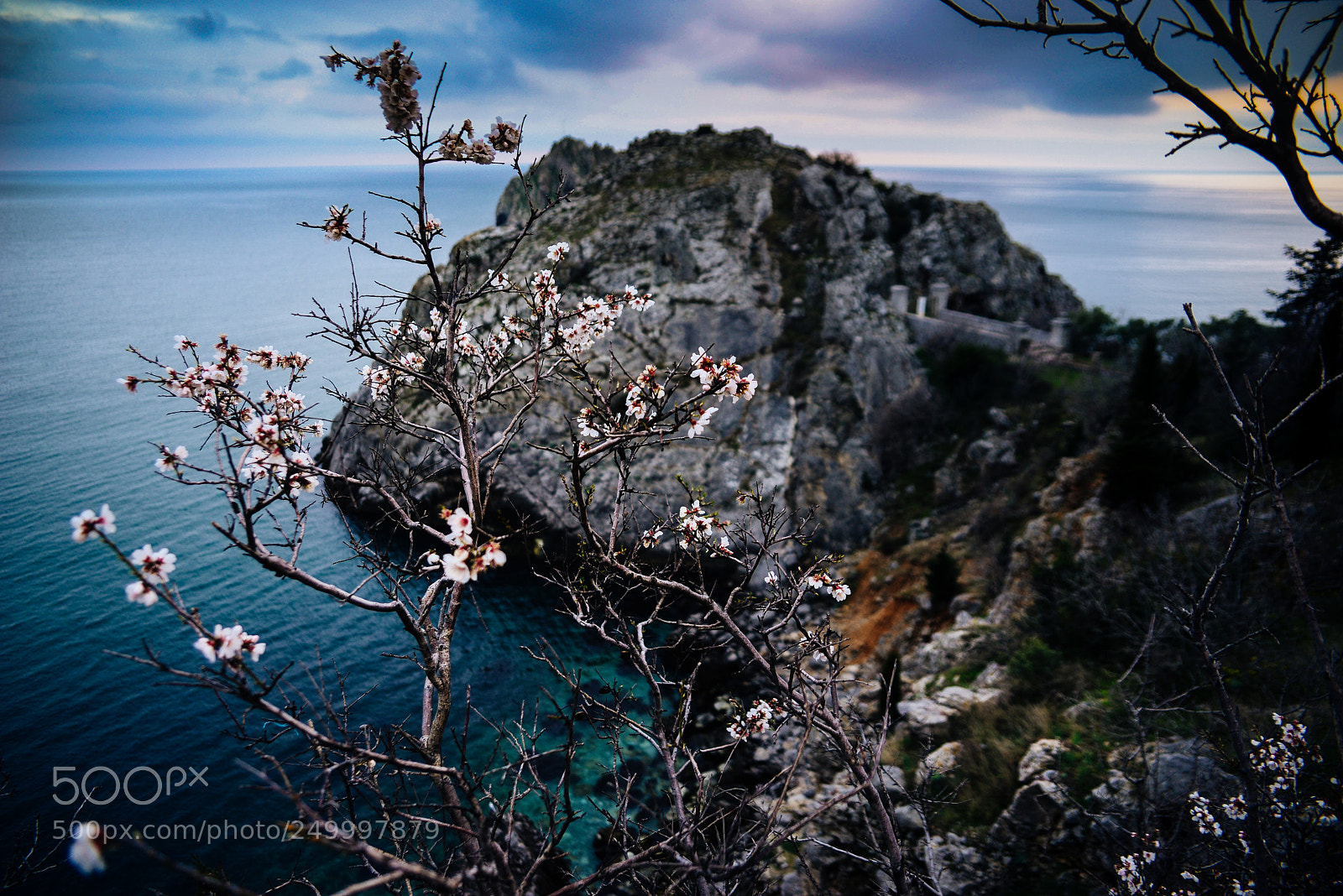 Nikon D610 sample photo. A single day photography