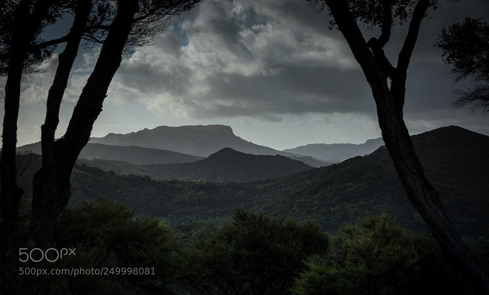 Canon EOS 7D Mark II sample photo. View over the wildness photography
