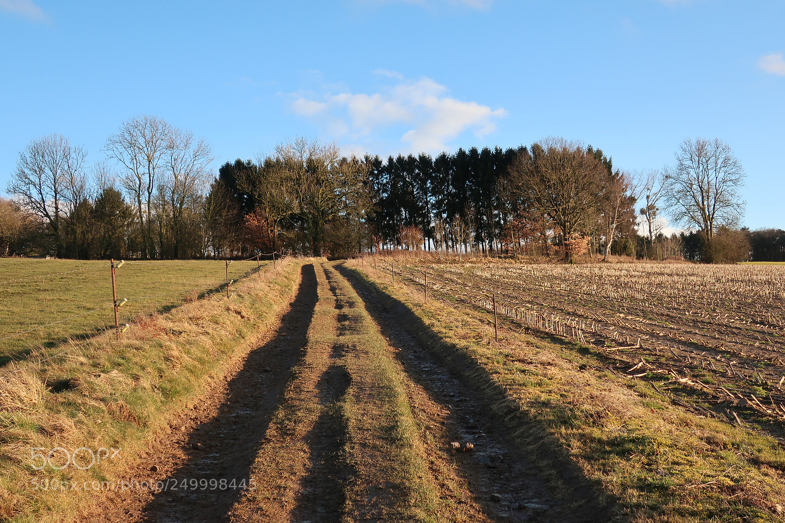 Canon PowerShot G9 X Mark II sample photo. The right way. photography