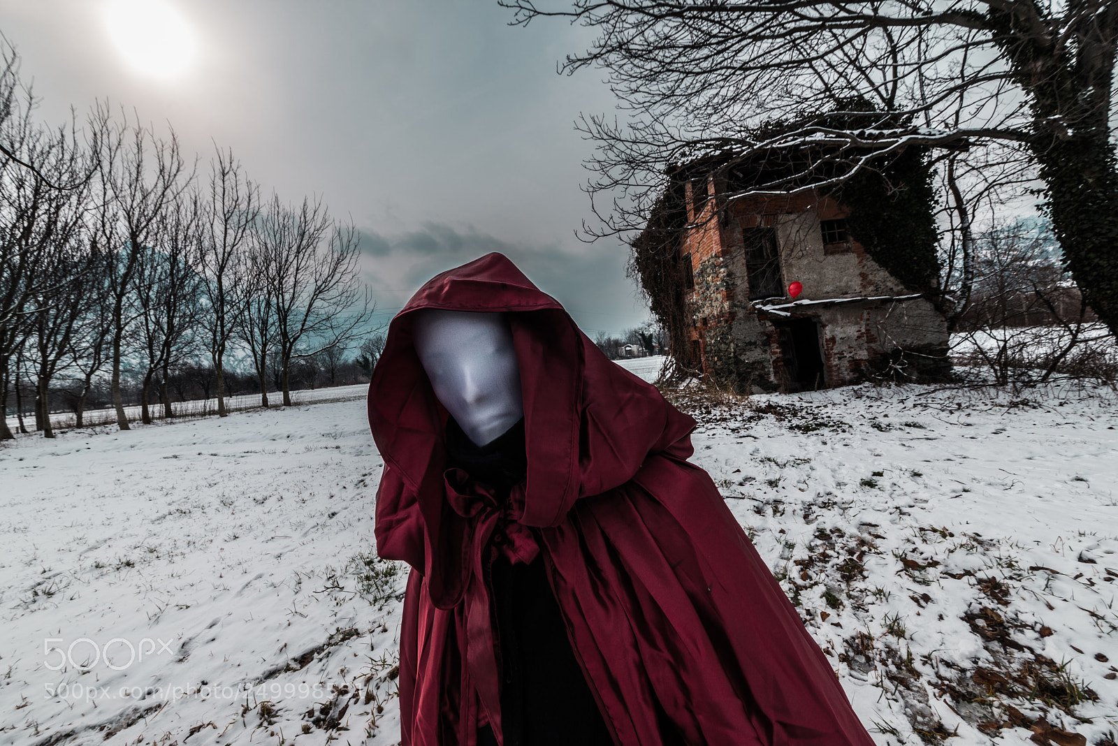 Nikon D610 sample photo. Faceless presence hor house photography