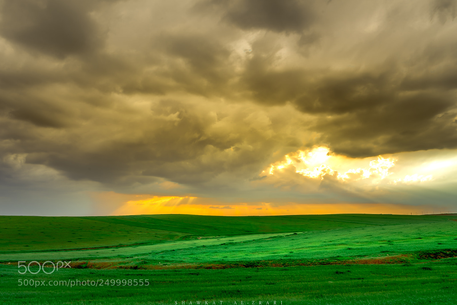 Sony a7R II sample photo. Spring of nineveh photography