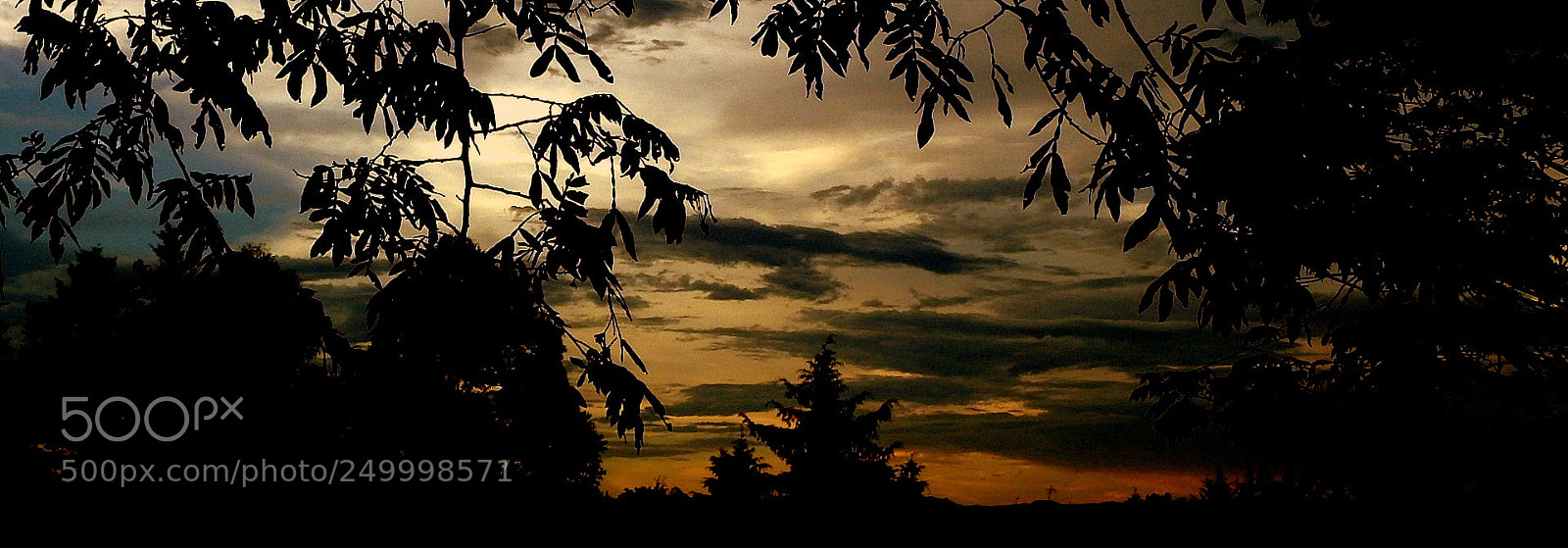Fujifilm FinePix SL1000 sample photo. Picture in the sunset ..... photography