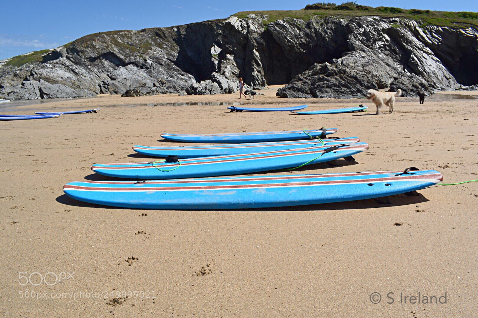 Nikon D5300 sample photo. Surfboards in a line photography