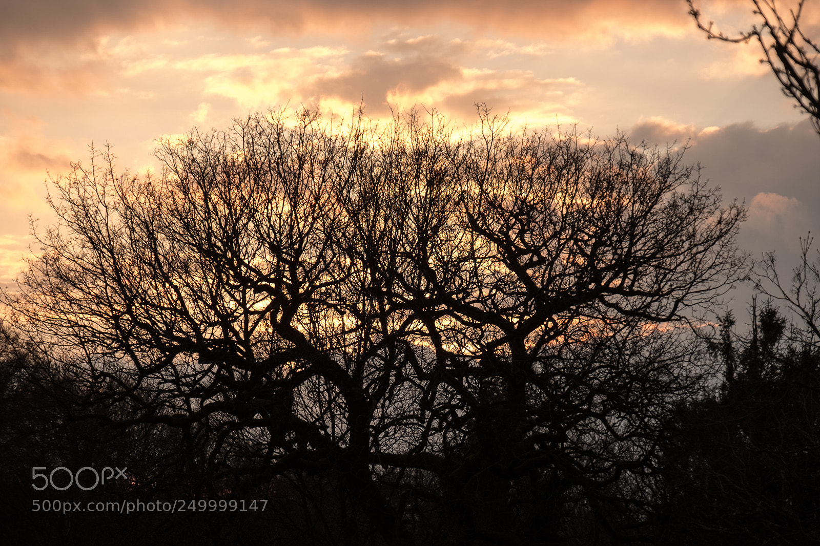 Fujifilm X-T2 sample photo. Sunset silhouette photography
