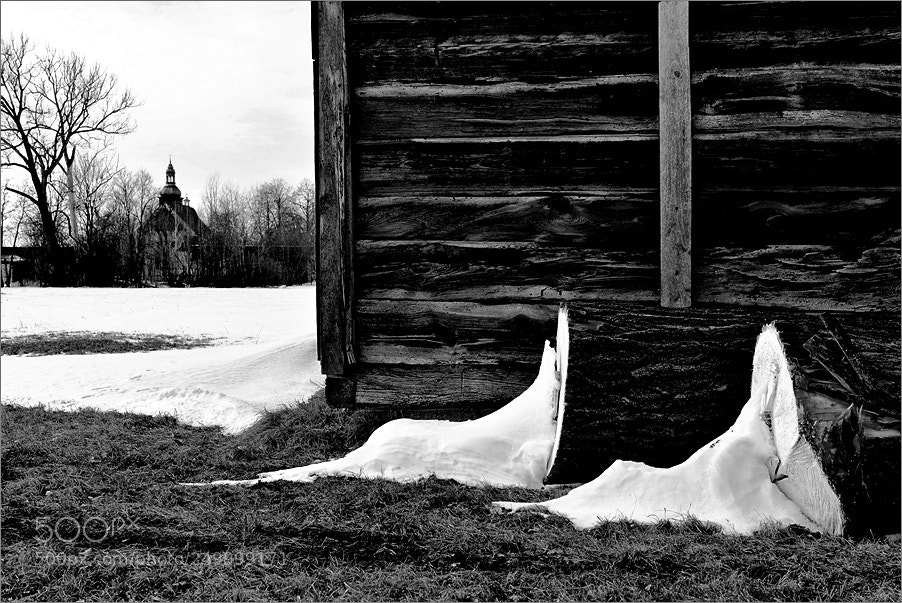Nikon D610 sample photo. Winter forms photography