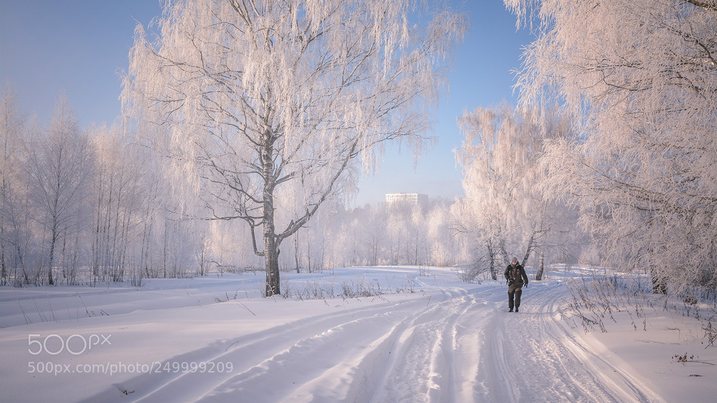 Nikon D7100 sample photo. Встреча в лесу. photography
