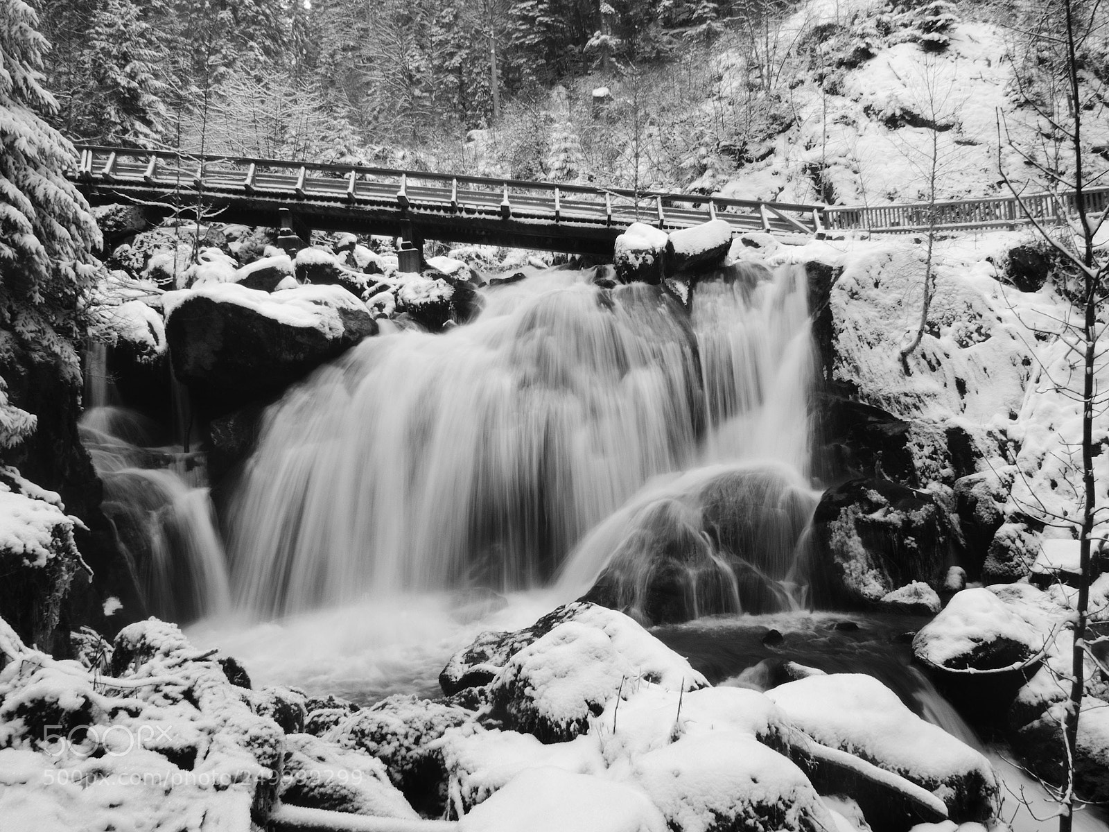 Olympus OM-D E-M10 II sample photo. Black & white waterfall photography