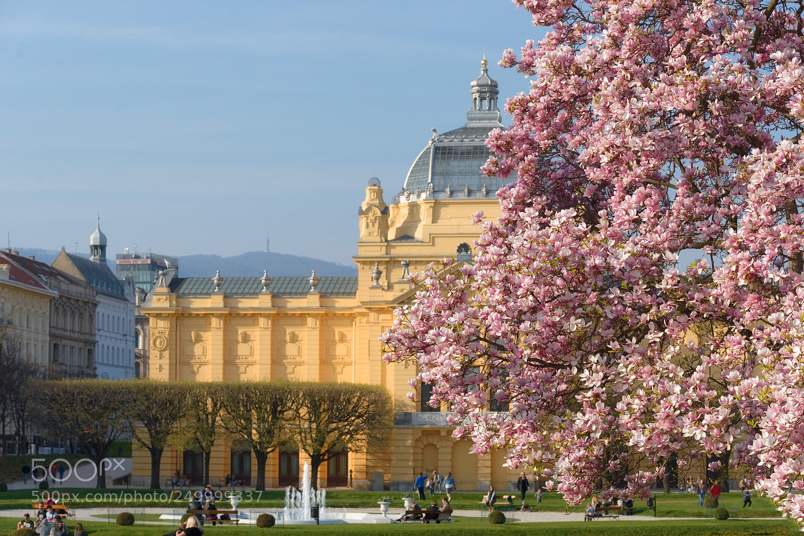 Nikon D610 sample photo. Spring in the city photography