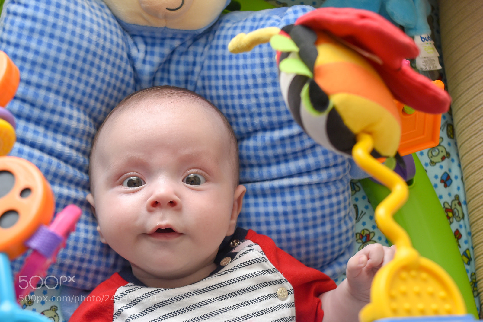 Nikon D5600 sample photo. Giuliano - 3 meses photography