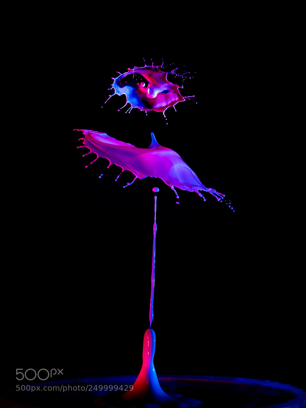 Olympus OM-D E-M1 Mark II sample photo. Triple drip photography