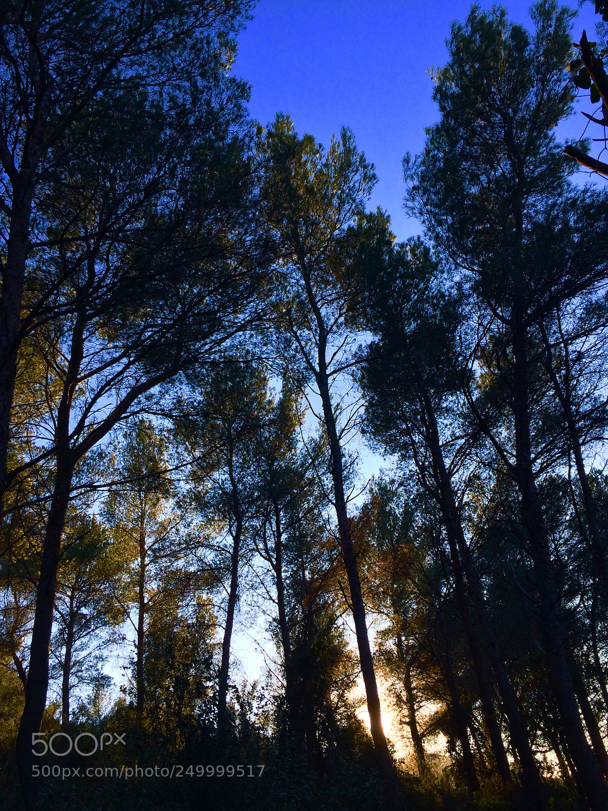 Apple iPhone 5s sample photo. Say goodbye to the photography