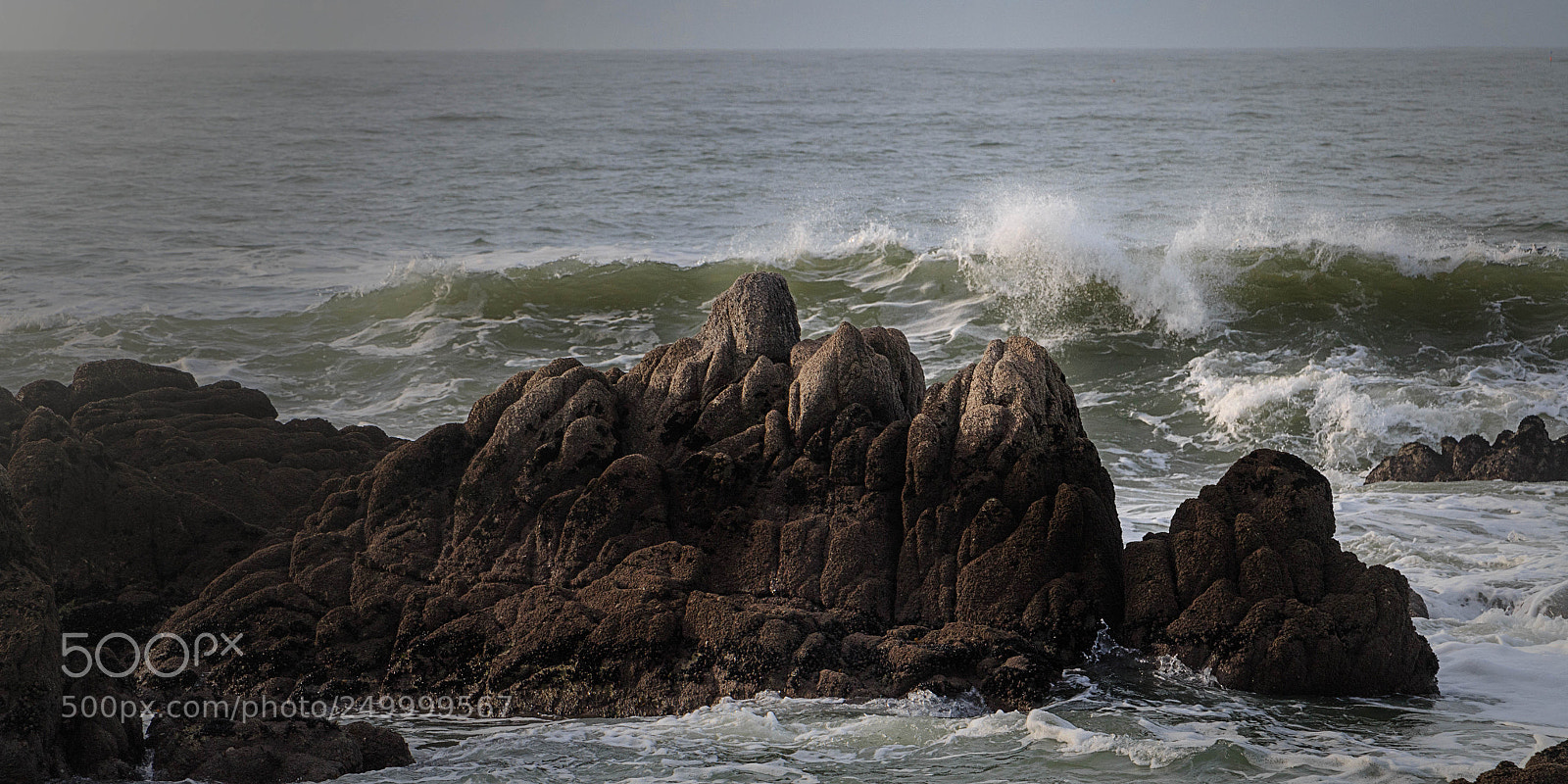 Canon EOS 70D sample photo. La vague photography