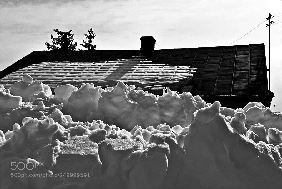 Nikon D610 sample photo. Winter under the roof photography